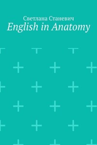English in Anatomy