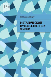Металический путешественник жизни