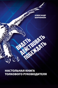 Видеть. Действовать. Побеждать. Настольная книга толкового руководителя