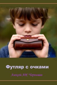 Футляр с очками