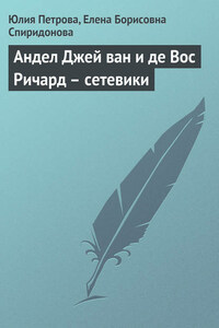 Андел Джей ван и де Вос Ричард – сетевики