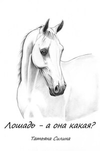 Лошадь – а она какая? Часть вторая