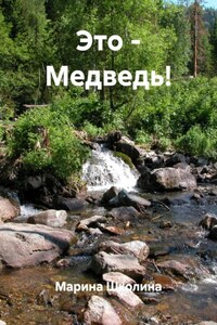 Это – Медведь!