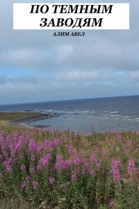ПО ТЕМНЫМ ЗАВОДЯМ
