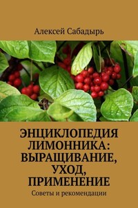 Энциклопедия лимонника: выращивание, уход, применение. Советы и рекомендации