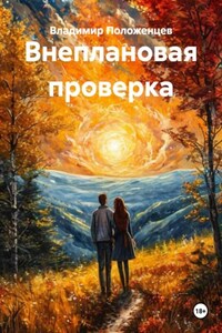 Внеплановая проверка