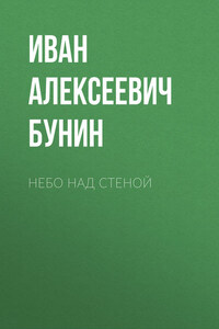 Небо над стеной