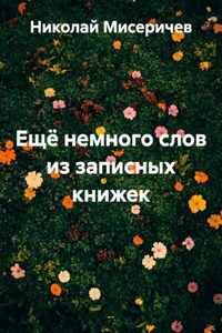 Ещё немного слов из записных книжек
