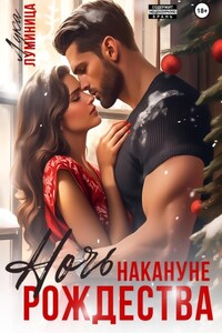Ночь накануне Рождества