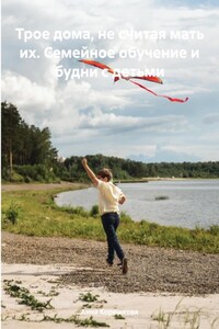 Трое дома, не считая мать их. Семейное обучение и будни с детьми