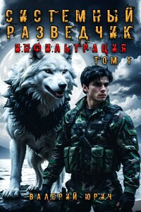 Системный разведчик. Инфильтрация. Том 1