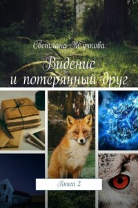 Видение и потерянный друг. Книга 2