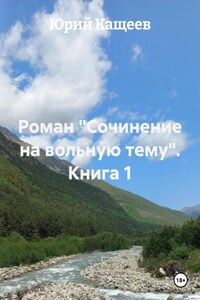 Роман «Сочинение на вольную тему». Книга 1