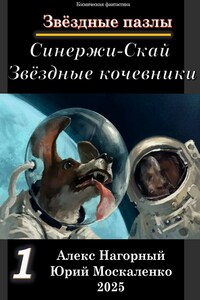 Звёздные пазлы. Синержи-Скай. Звёздные кочевники. История первая.