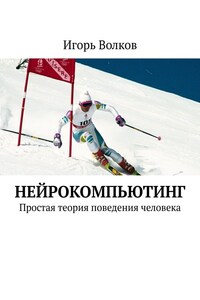 Нейрокомпьютинг. Простая теория поведения человека
