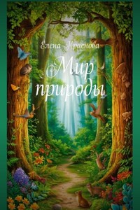 Мир природы