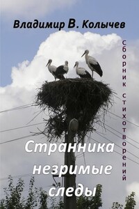 Странника незримые следы