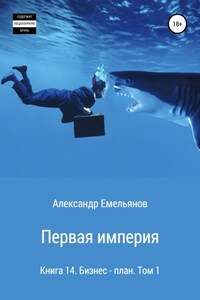 Первая империя. Книга 14. Бизнес-план. Том 1