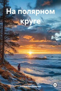 На полярном круге