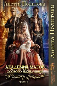 Хроники драконов. Часть 3: Академия Магов Особого Назначения