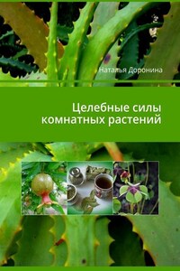 Целебные силы комнатных растений