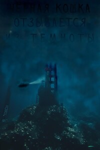 Чёрная кошка отзывается из темноты