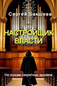 Настройщик власти