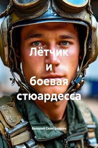 Лётчик и боевая стюардесса
