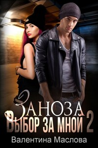 Заноза 2 Выбор за мной