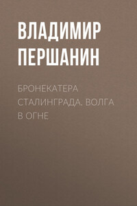 Бронекатера Сталинграда. Волга в огне