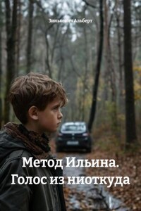 Метод Ильина. Голос из ниоткуда