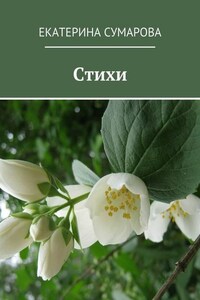 Стихи