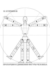 Пропорции и движения фигуры человека