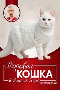 Здоровая кошка в вашем доме