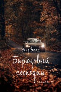 Бирюзовый господин. Книга 2