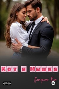 Кот и Мышка