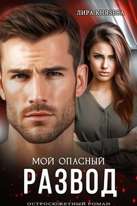 Мой опасный развод