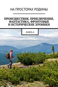 Происшествия, приключения, фантастика, фронтовые и исторические хроники. Книга 4