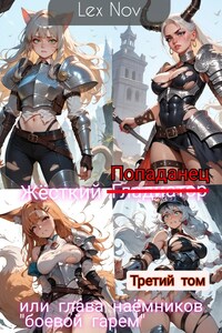 Жёсткий Попаданец или глава наёмников "боевой гарем" (третий том)
