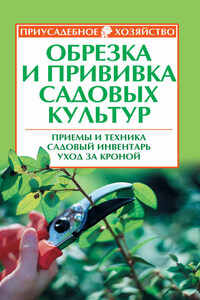 Обрезка и прививка садовых культур: приемы и техника, садовый инвентарь, уход за кроной