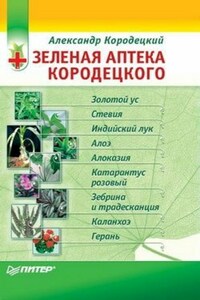 Зеленая аптека Кородецкого: золотой ус, индийский лук, стевия и другие