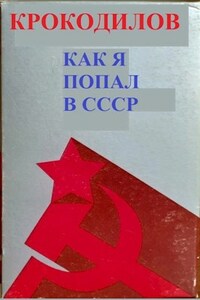 Как я попал в СССР
