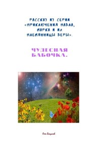 Рассказ из серии «Приключения Павла, Марка и их племянницы Веры». Чудесная бабочка