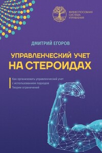 Управленческий учет на стероидах. Как организовать управленческий учет с использованием подходов Теории ограничений