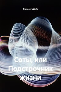 Соты, или Подстрочник жизни